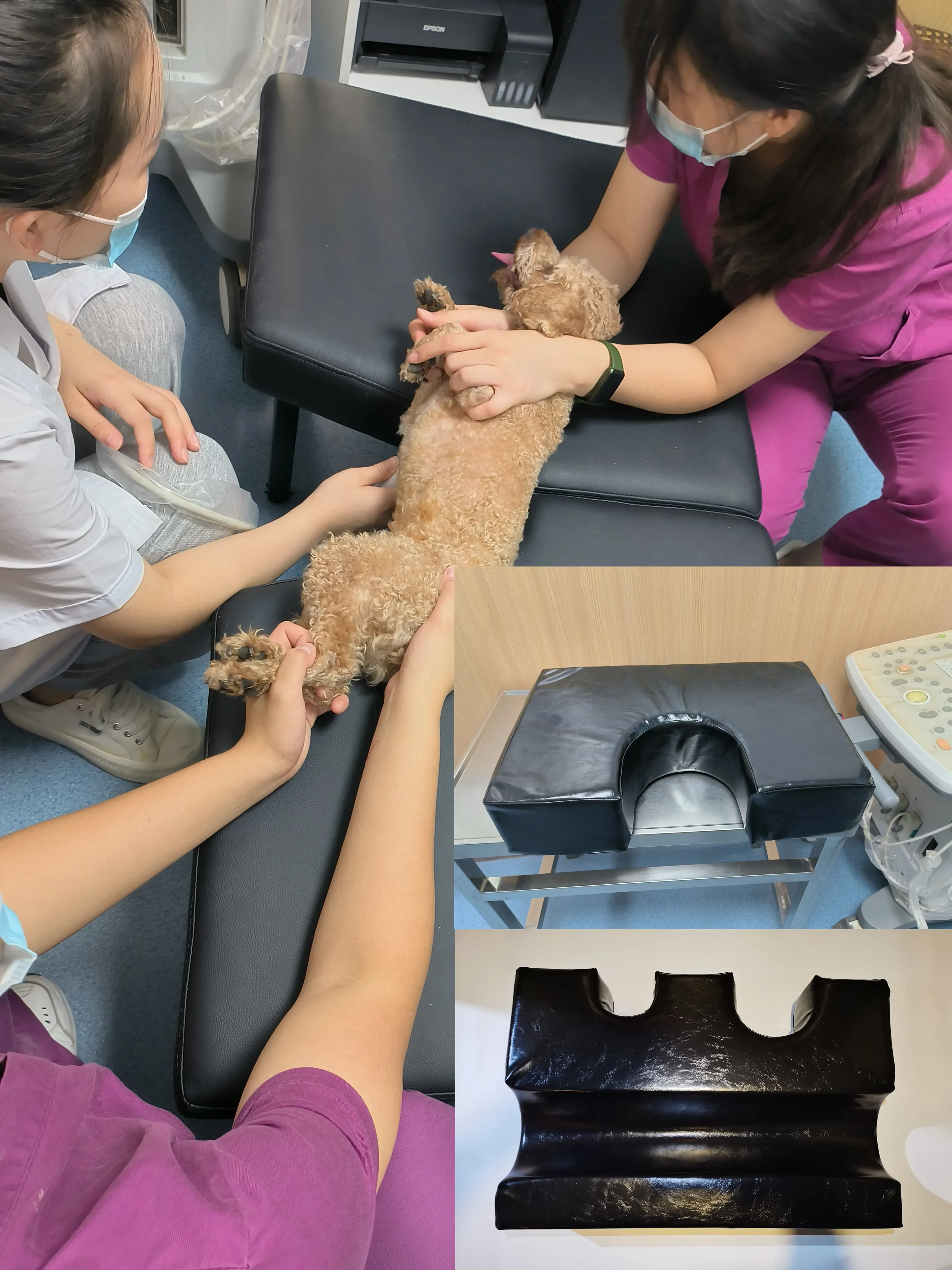 

Universal pet positioning device for dogs, cats, and dogs, ultrasound pad, ultrasound bed center, ultrasound pad, positioning