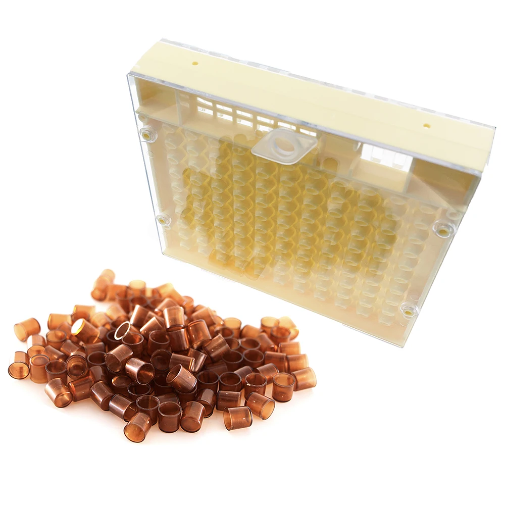 Nicot Queen Rearing Incubate Box And 120PCS Brown Cell Cup Apiculture Kit High Accepted Reuseable Non Graft Larva Breeding Tools