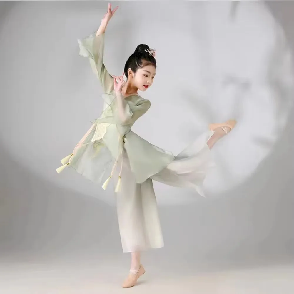 

Chinese Hanfu Costume Classic Dance Costume Dance Skirt Embroidered Top Chinese Costume Chinese Dance Costume