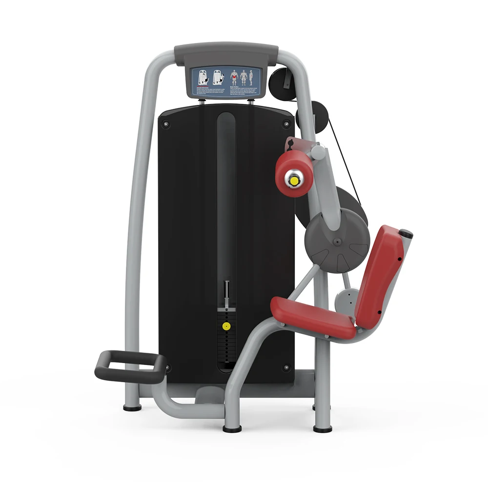 آلة اختيار القوة التجارية لتدريب الظهر السفلي المحملة بالدبوس 2025 #1