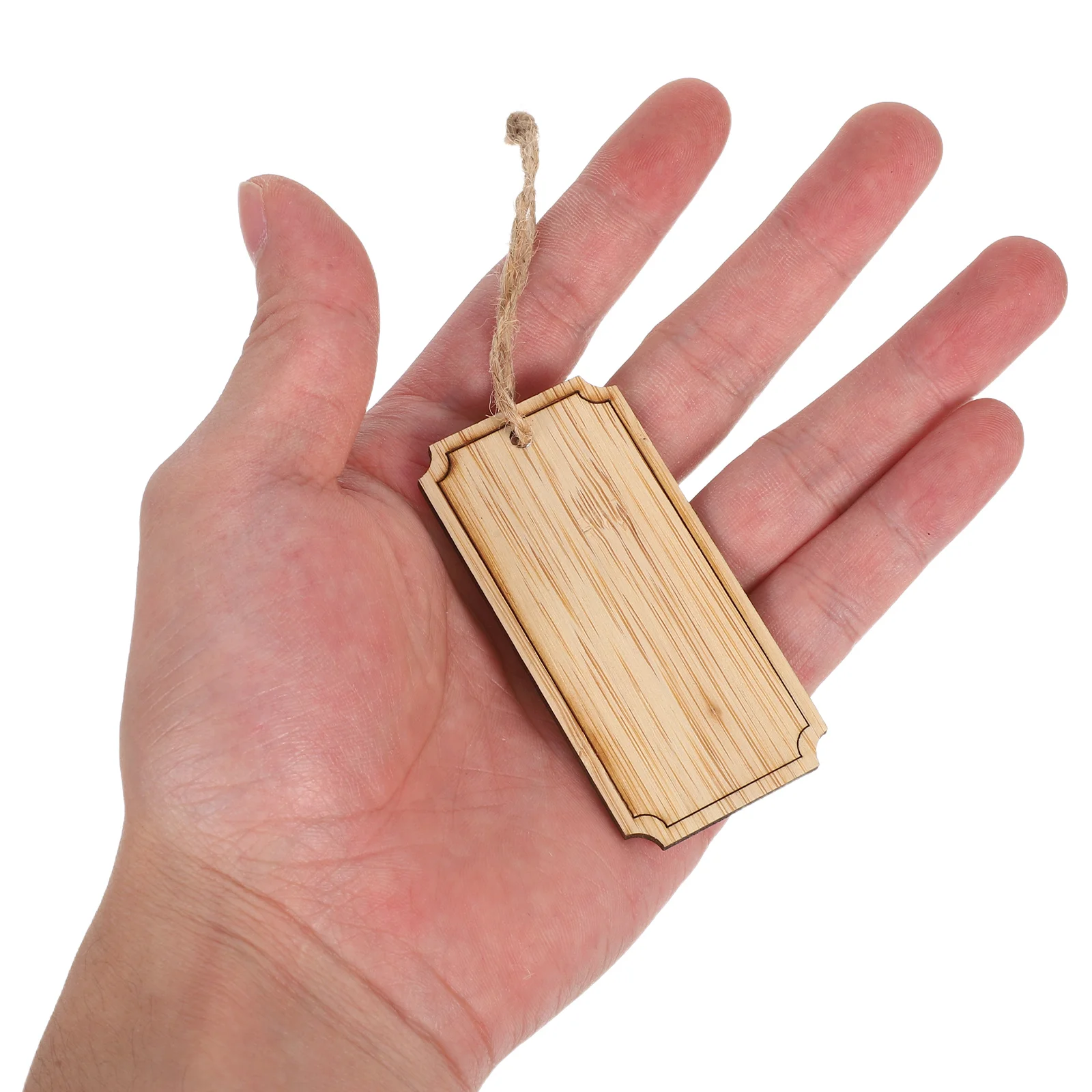 

20Pcs Decorative Bamboo Hanging Plant Labels Reusable Garden Markers with String Blank Tags for Outdoor Plant Signs