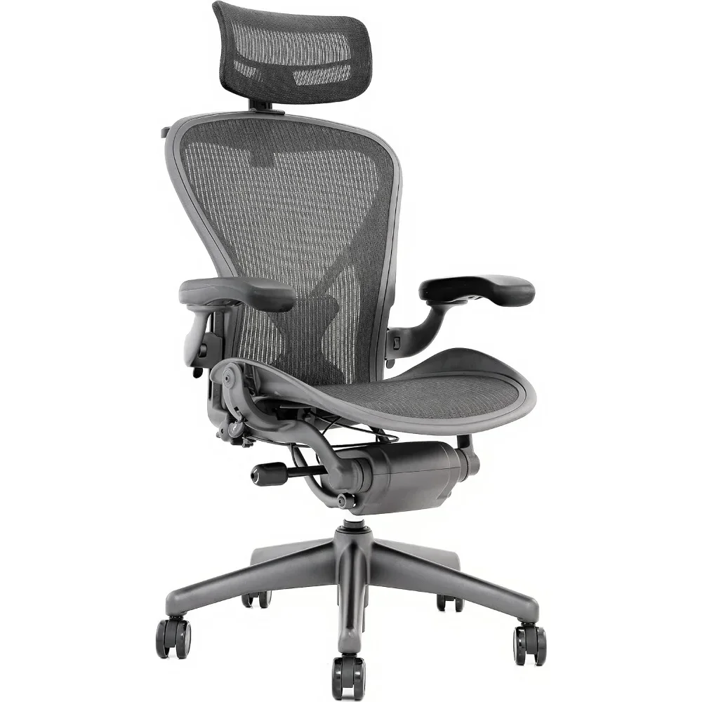 Aeron Chair by - Highly Adjustable Graphite Frame - with PostureFit - Carbon Classic (Medium)