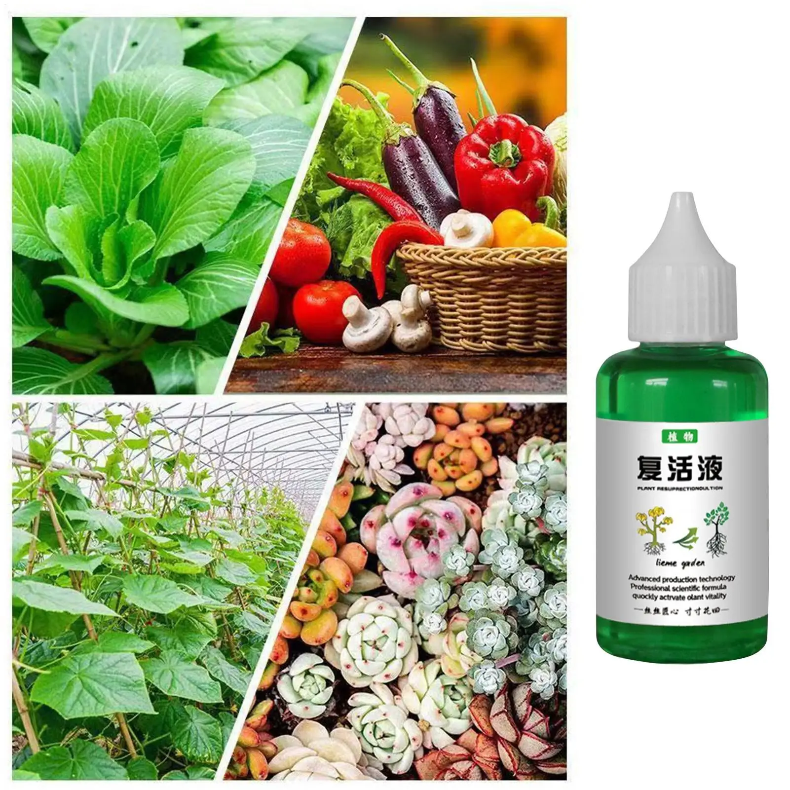 Plants Resurrection Liquid 50ml Outdoor Soil Growing Plant Food Fertilizing Liquid Concentrate Promotes Robust Growth