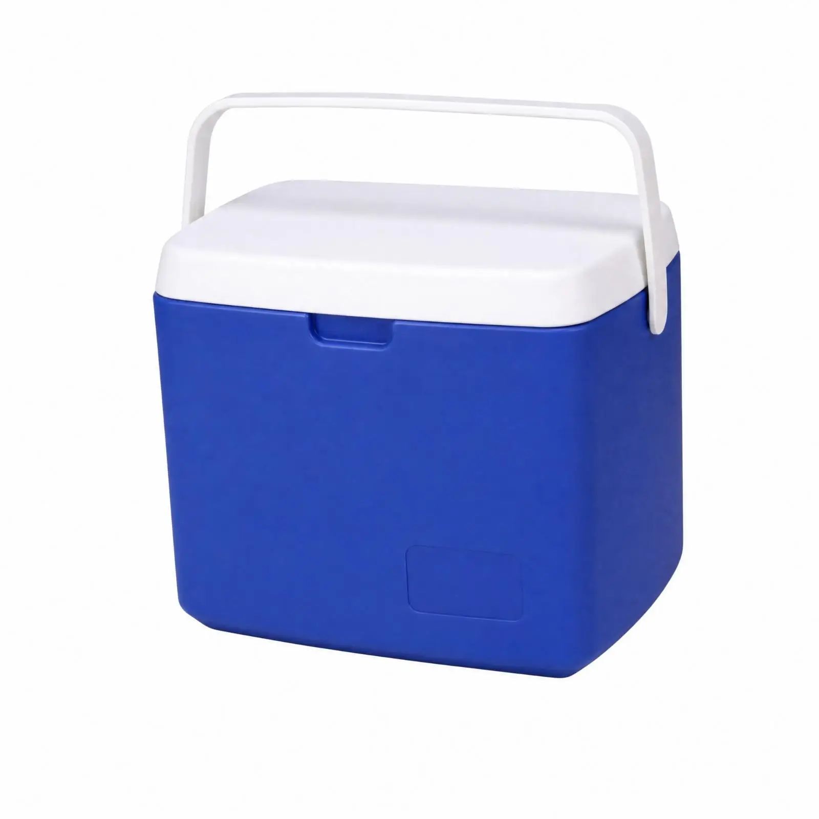 Portable Cold Storage Container with White Lid Rigid Construction Polystyrene Foam Foam Insulated Ice Box with PU Insulation for