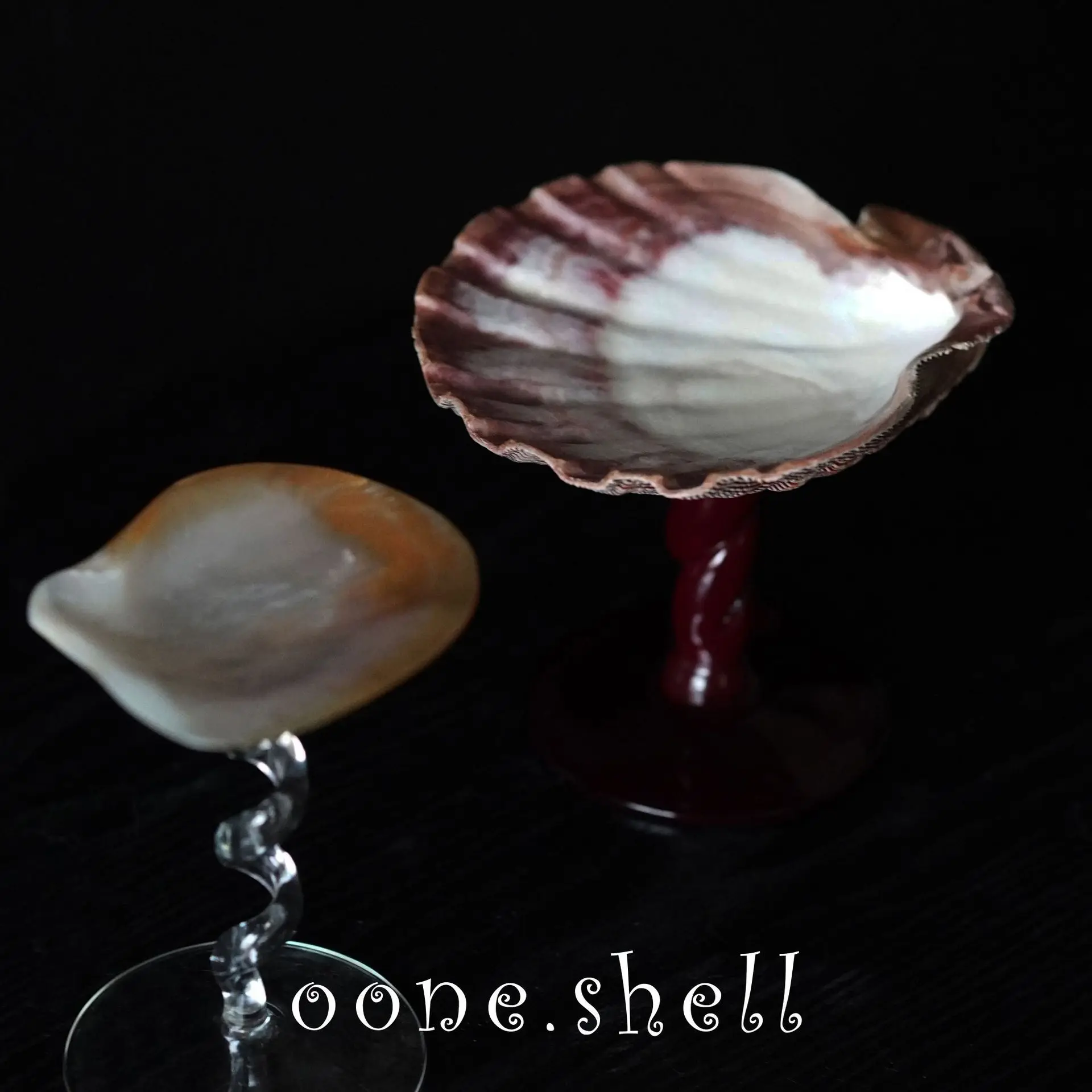 

Creative, niche conch wine glass i's natural, conch, shell, tall foot