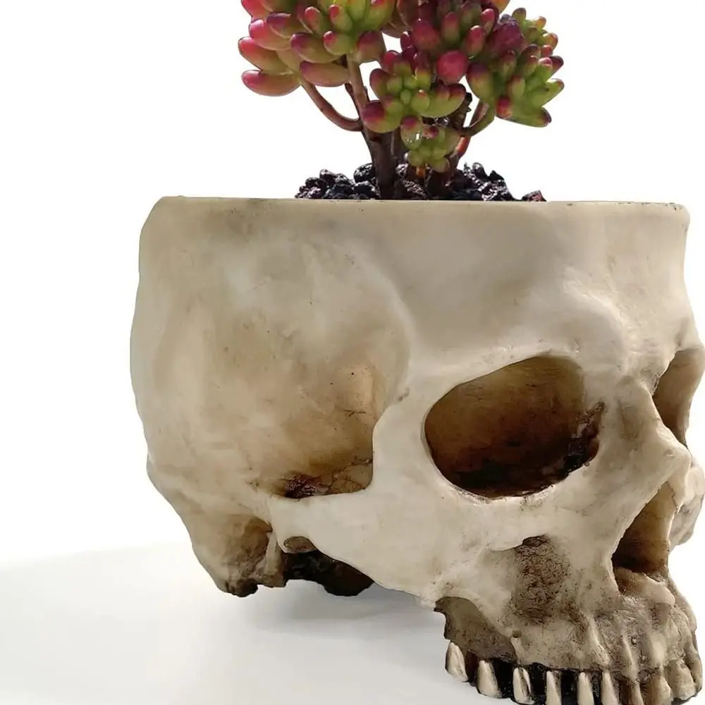 Resin Succulent Container For Home Decor Flower Desk Decorations Sugar Fake Skull Candy Bowl Skull Planter Skull Flower Pot