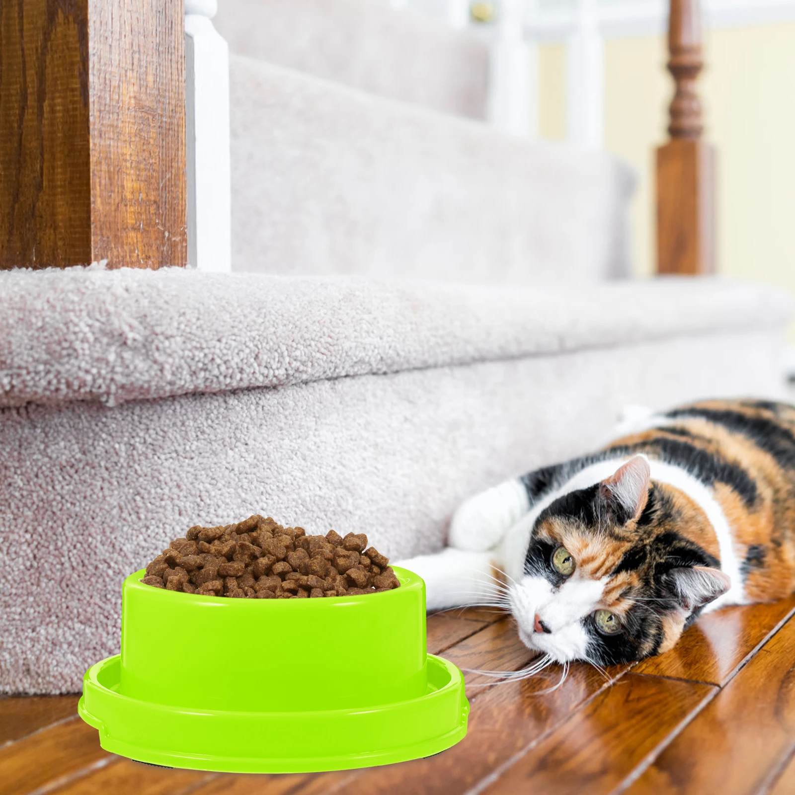 

Ant-proof Bowl Cat Dog Food and Water Puppy Bowls for Small Dogs Baby Pet Feeding