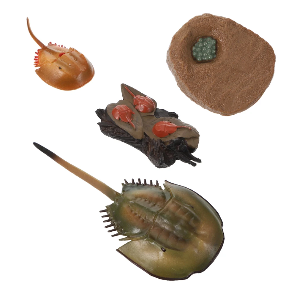 収集海洋生物キングクラブ子供シミュレーション昆虫知育玩具リアルなライフサイクルサーモン成長サイクルモデルタコ