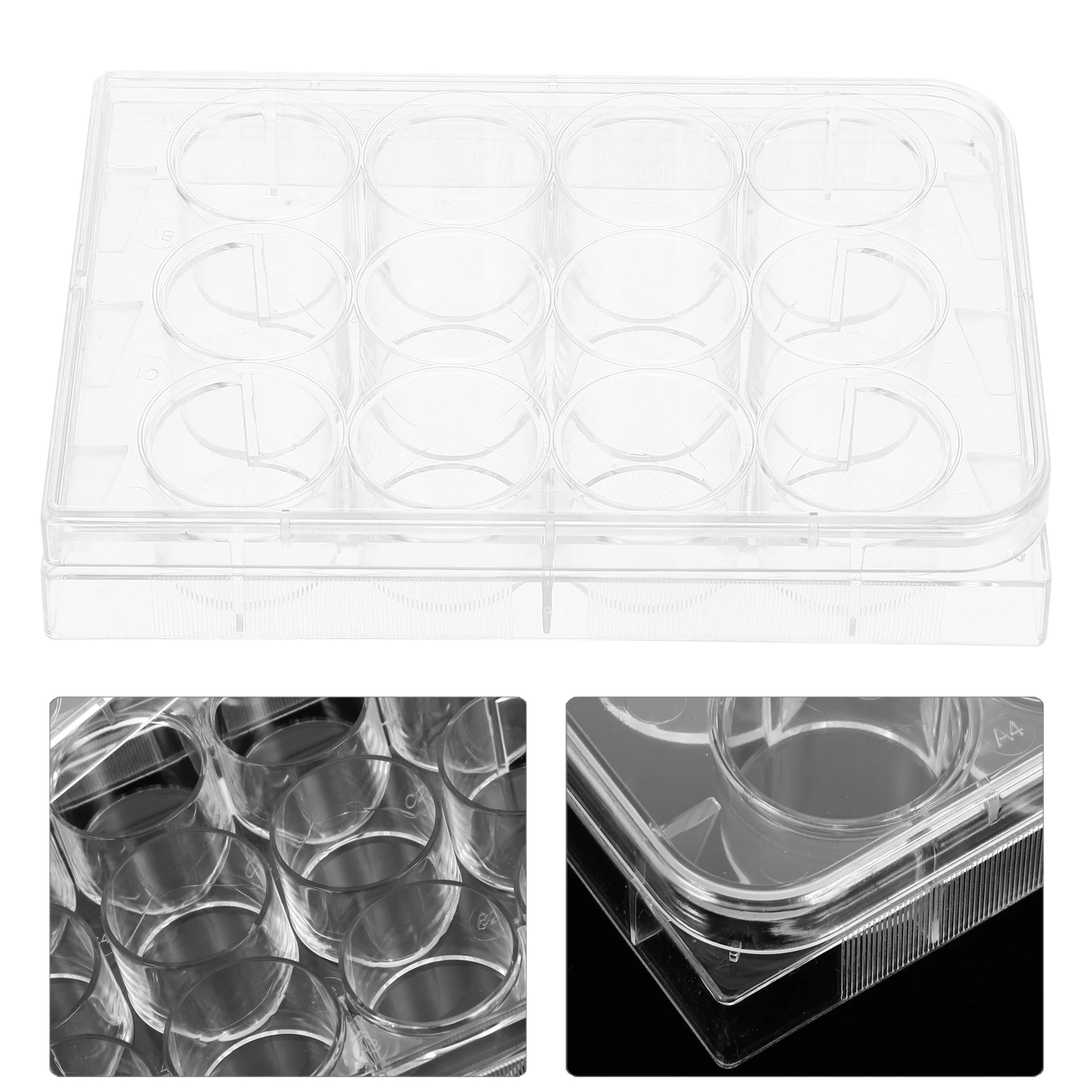 

10 Pcs Culture Plate Laboratory Tissue Tray with Lid for Disposable Cell Plastic