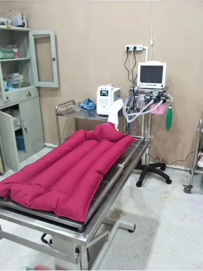 Veterinary Automatic Constant Temperature Air Warming System Post Surgery Insulation Equipment for Animal Clinic