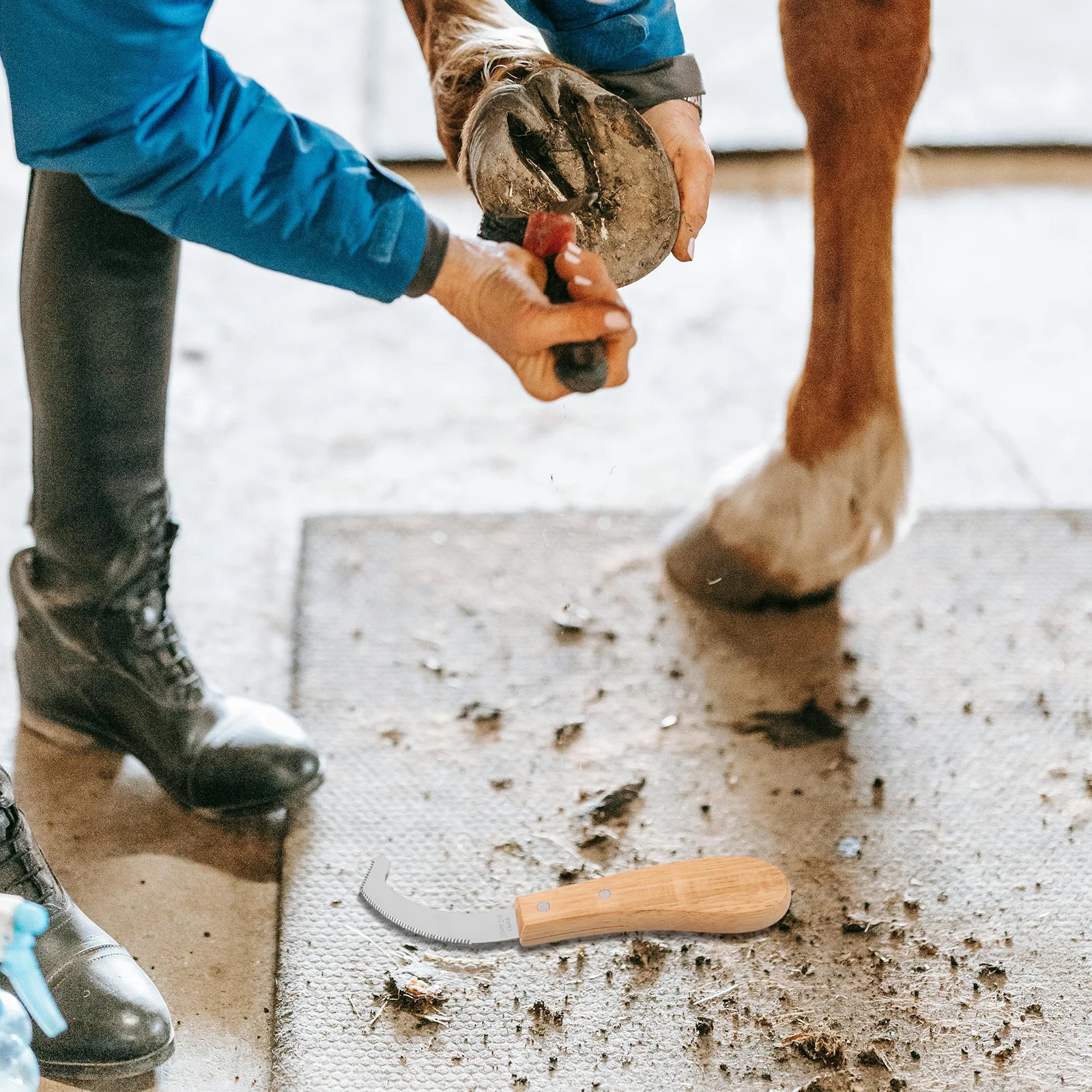 أداة تهذيب البيض من الفولاذ المقاوم للصدأ لإزالة بيض الذبابة، مكشطة متينة لإزالة بيض الذبابة #4