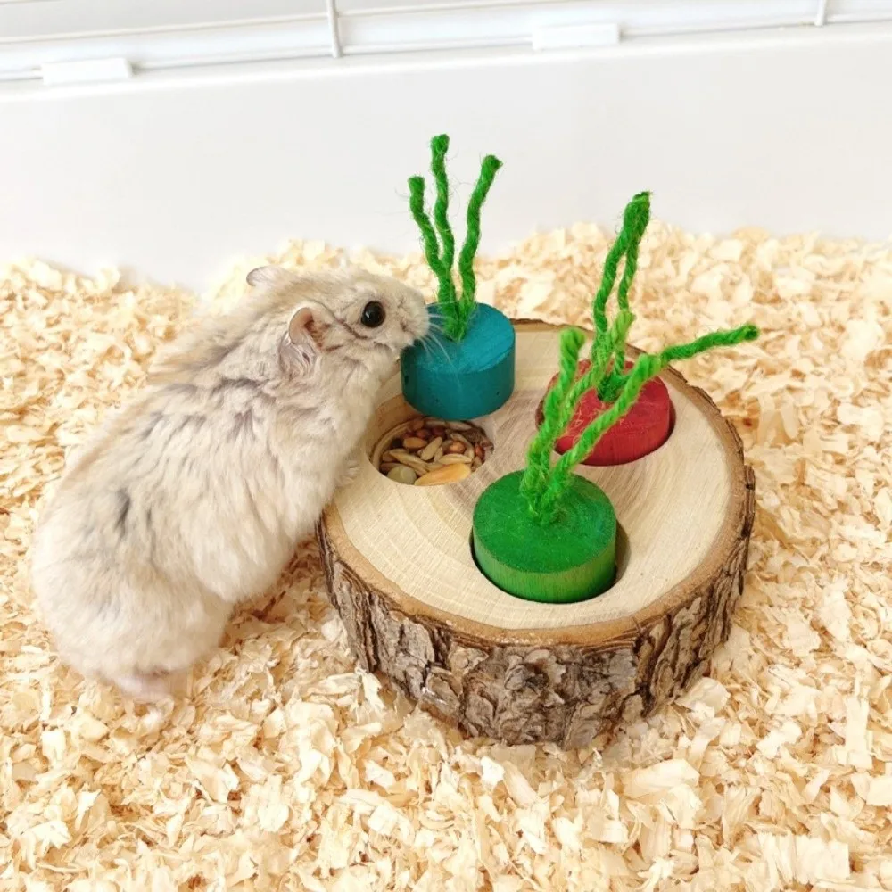 New Natural Wood Bunny Toy 3-Grid Round Shaped Hamster Foraging Toy Bite-resistant Educational toy Pet Bird Toy Pet Supplies