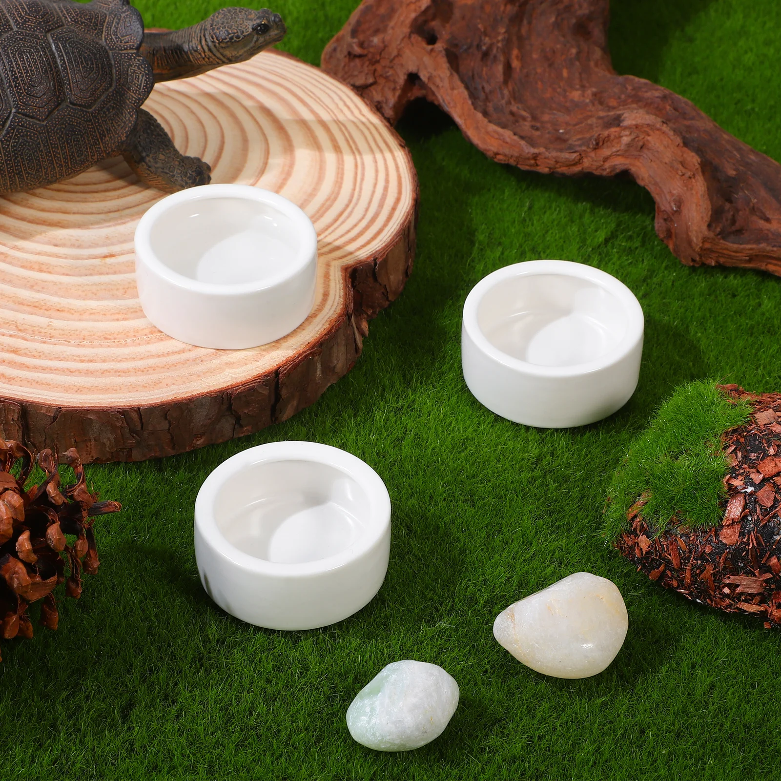 

2Pcs Reptile Feeder Ceramics Bowl Anti-Escape Design Durable Safe for Pets Drinking Eating Flat Base White Medium Round