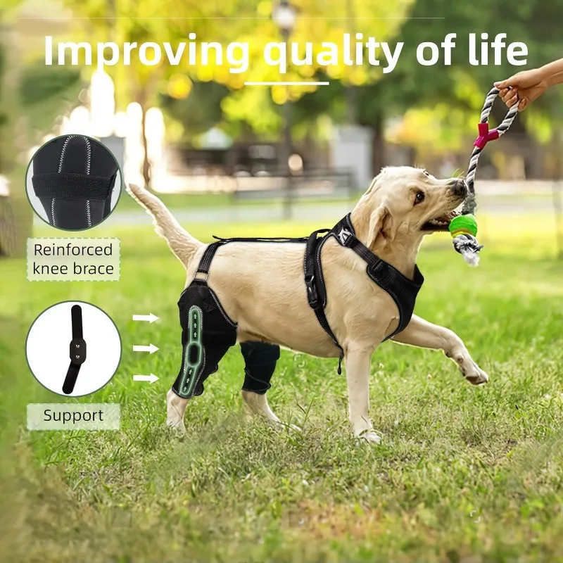 Dog Knee Brace for Torn Acl Hind Leg, Luxating Patella, Cruciate Ligament, Dog Acl Knee Brace Support Back Leg with Arthritis