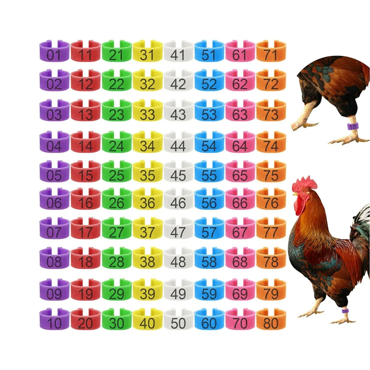 Neue 80 Stück 16 mm Hühnerbeinbänder mit 8 Farben, buntes 01-80 nummeriertes Huhn, Identifikationsbeinbänder, Enten-Geflügel-Beinschild