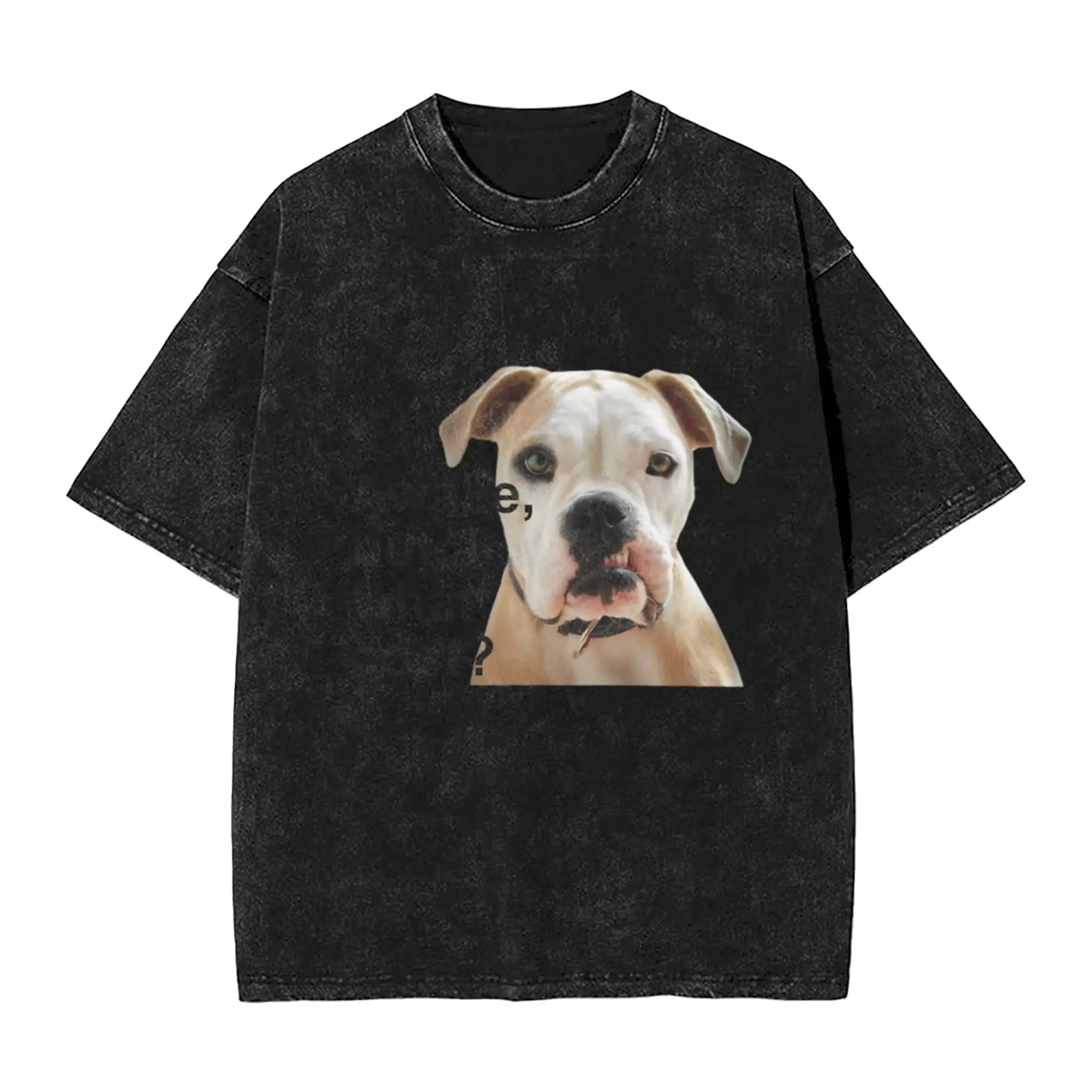 Awake Dog Classic Stylish A Washed T Shirt Men's Women's Oversized Cotton Tees Tops
