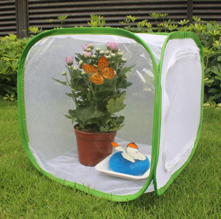 Green Collapsible Butterfly Habitat Cage Zipper Closure Pop-up Insect Breeding Rearing Mesh Net House for Insects Butterflies