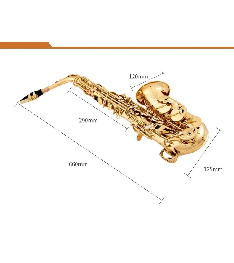 Eb Tone Alto Saxophone For Beginners And Adults Graded Performance Woodwind Instrument Support Custom Logo