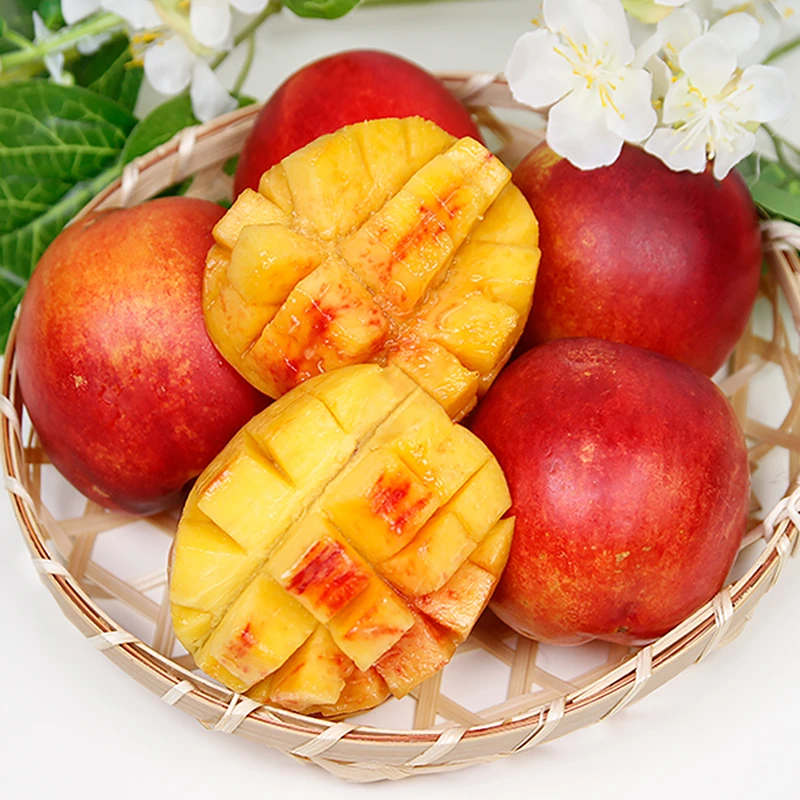 ¡Solo popularidad para hombres y mujeres! Mango Melocotón 1kg (10 y Exterior)