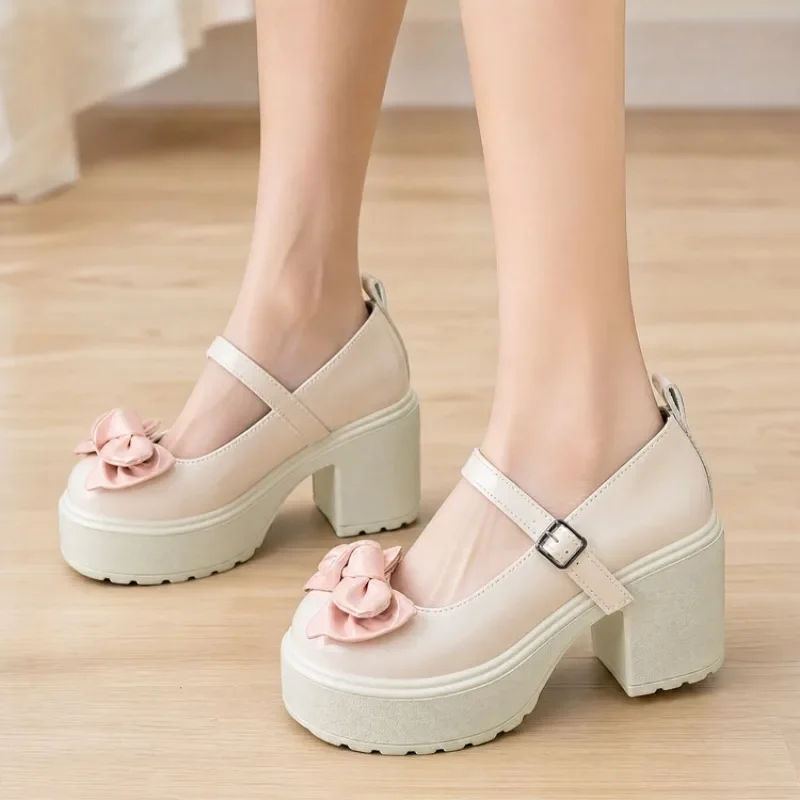 Plus-size High-heeled Shoes - 2026 New Spring-autumn Model with Extremely Thick and High Heel, French-style Mary Jane Shoes