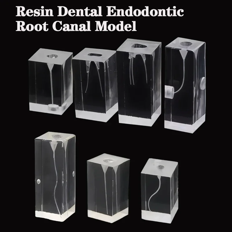 Dental Endo Teeth Model Root Canal Practice RCT Training Block Pulp Cavity Endodontic Clear DemoDentistry Student Training Demo