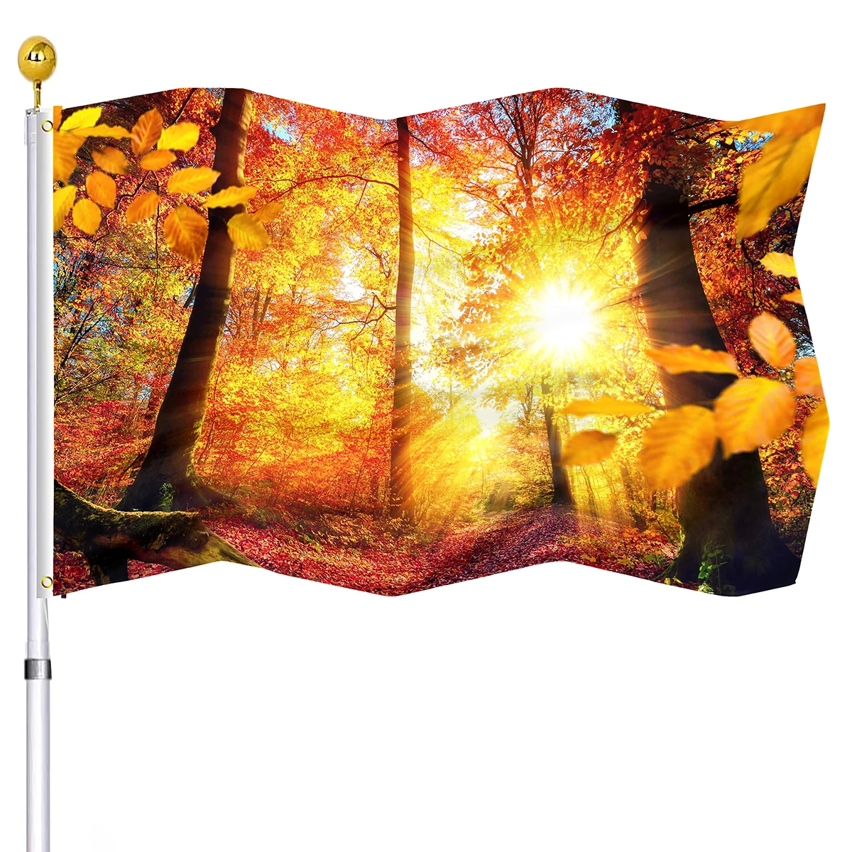 

Maple Trees Flag Park Fall Nature Scenic Scenery Woods of Maple Trees Sunbeams Flags Home Decorations for Indoor Dorm Outdoor