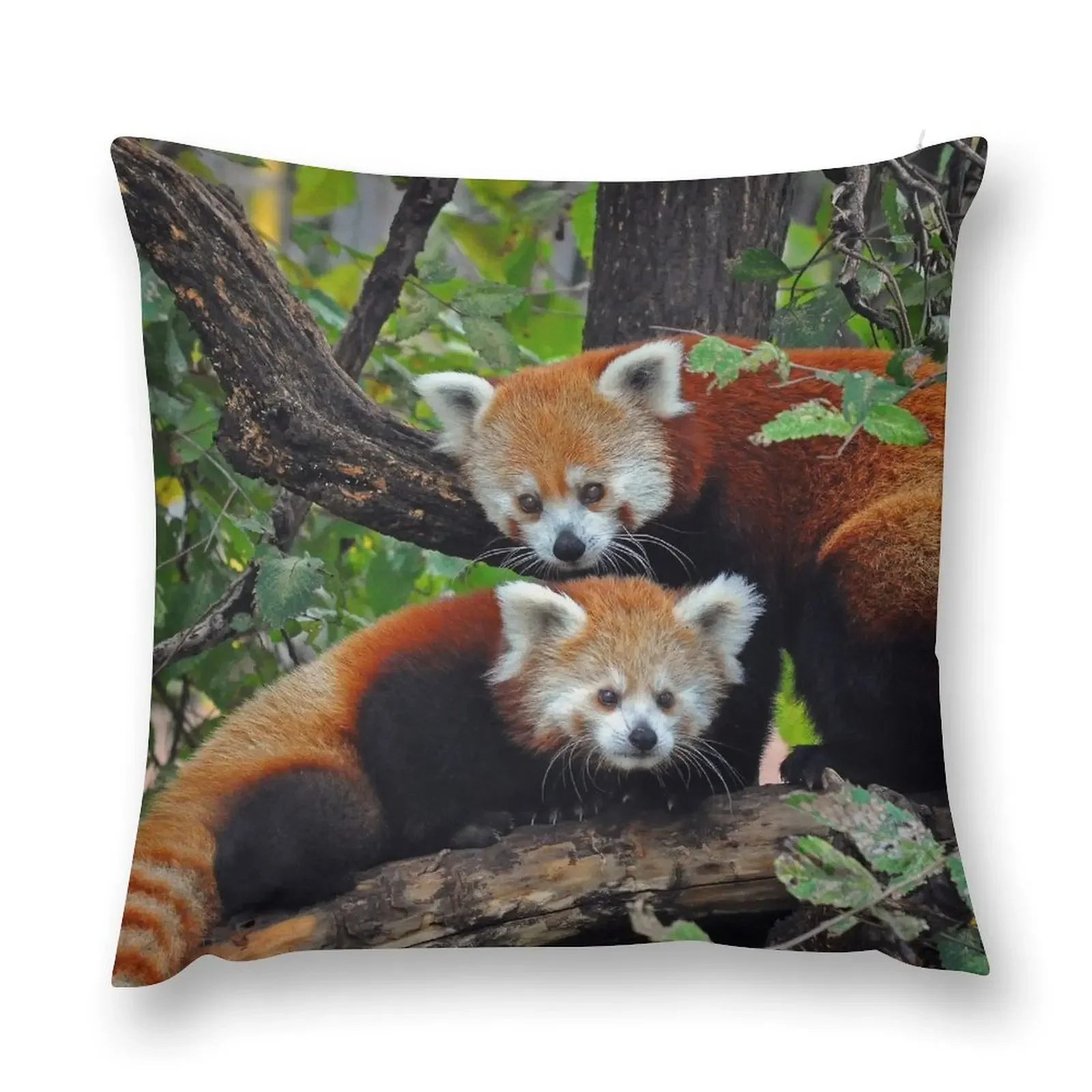 Mother and Daughter Throw Pillow sleeping pillows Ornamental Pillow Cusions Cover pillow