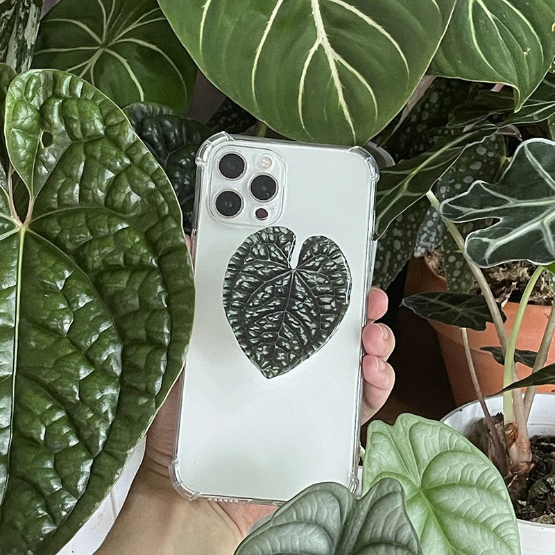 Poppings Socket Folding Grip Pretty Leaf Acrylic Phone Holder For iPhone Samsung Xiaomi Universal Phone Griptok - view 5