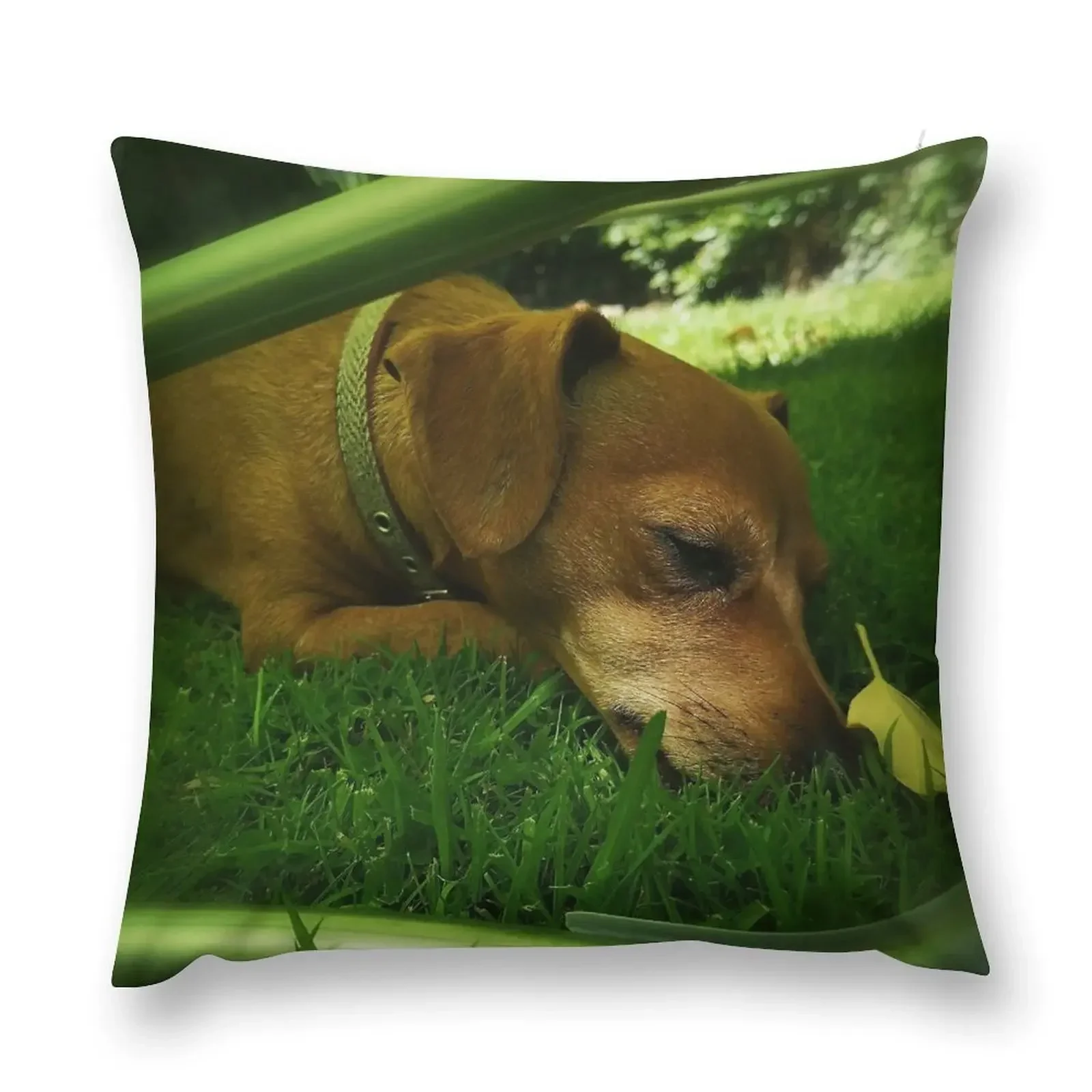 

Jack Russell Terrier. Throw Pillow Decorative Cushion Cushions For Decorative Sofa Sitting Cushion home decor items pillow