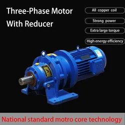 Three-Phase Asynchronous Electric Motor With Reducer 220V 380V Voltage Motor With Gearbox Low Speed Motors
