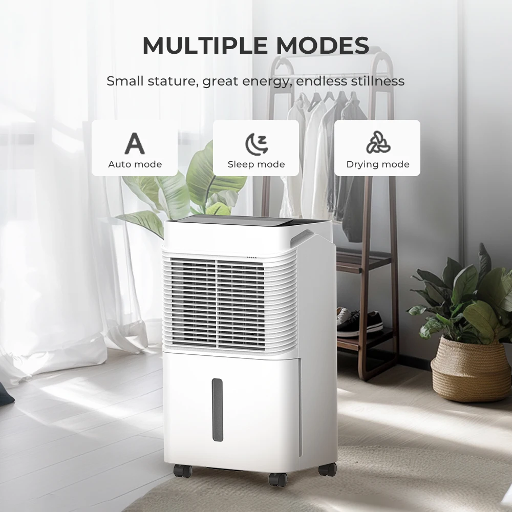 Auto-Defrost R290 Compressor Dehumidifier Portable Household Air Deshumidificateur External Drain Electric Source for Home Use