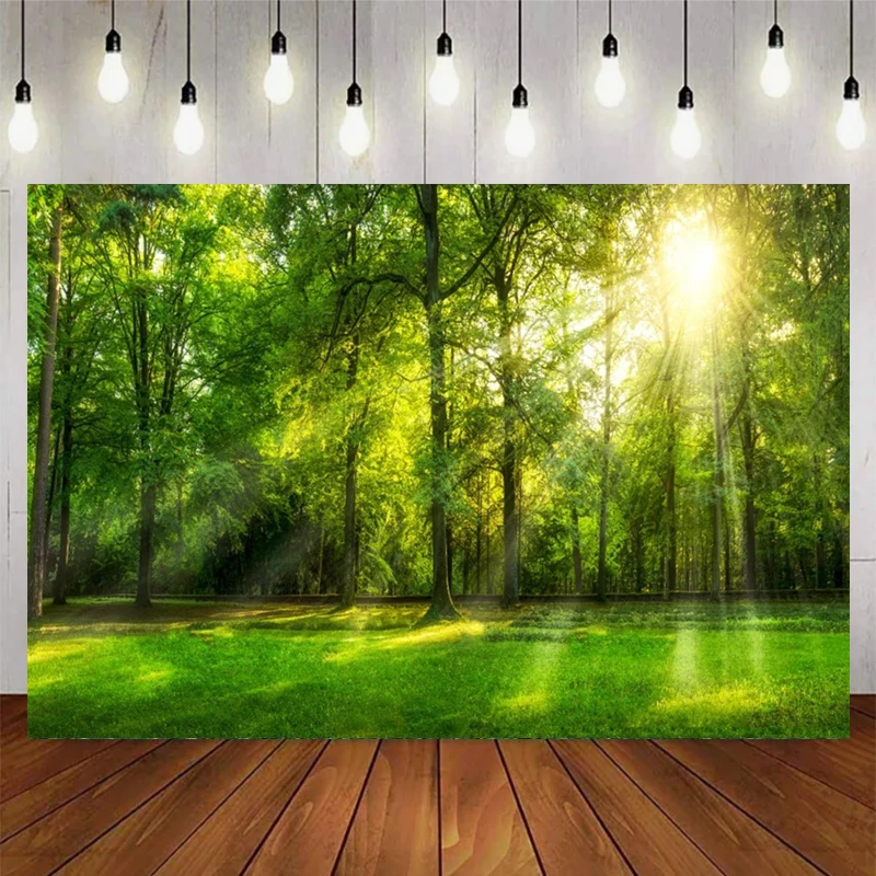 Tropical Forest Jungle Theme Rainforest Natural Landscape Adventure Camping Exploration Photography Background Decor Supplies ﻿