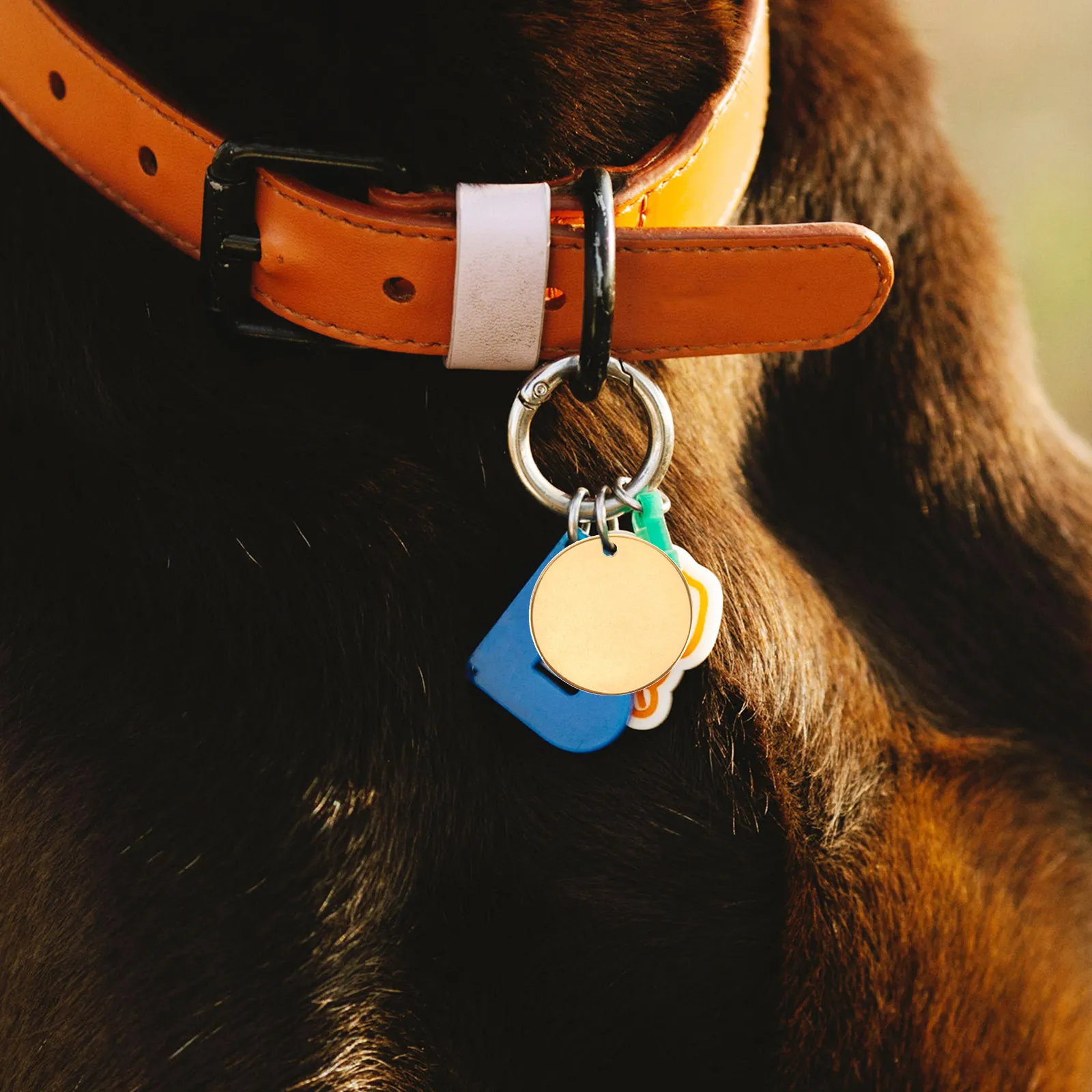 

10 шт. круглых заготовок из нержавеющей стали для гравировки, металлические бирки для ключей, именных бирок, брелоков для животных, металлические штампованные бирки для ключей