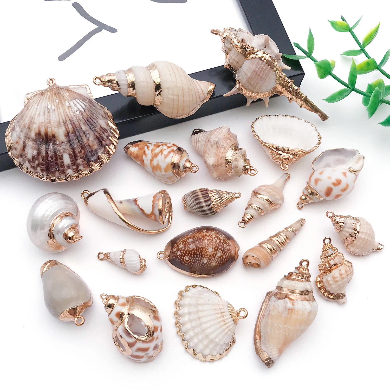 6pcs Laser Plating Gold Shell Natural Conch Charms Pendant DIY Necklace Earrings Bracelet Jewelry Accessories