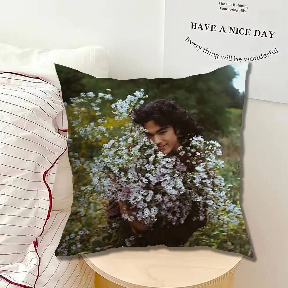 C-Conan Found Heaven G-Gray Pillow Case Square Bedroom Sofa Leisure Comfort Cushion Car Home Decoration