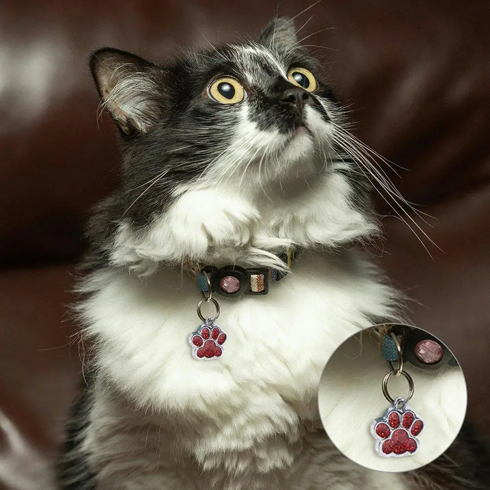 Colgante de purpurina exquisito para mascotas con estampado de huellas de gato y perro, antipérdida, personalizado con gancho, para collar de cachorro