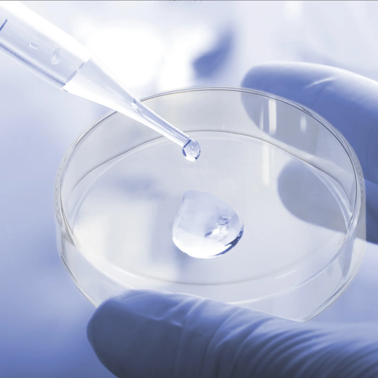 

1 Set Glass Petri Dish 100Mm X 15Mm Thickened Transparent Cell Culture Dishes For Laboratory Agar Plates Science