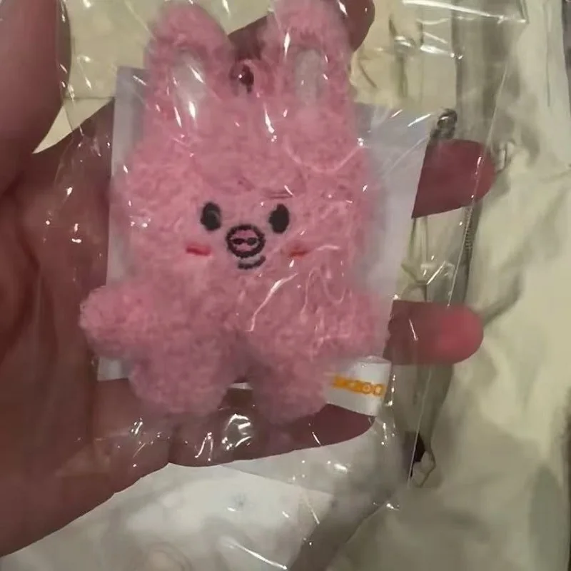 Skzoo Giocattoli creativi per bambole Peluche fortunato Cartone animato Stray Kids Peluche Portachiavi carino Regalo di compleanno commemorativo per bambini Kawaii