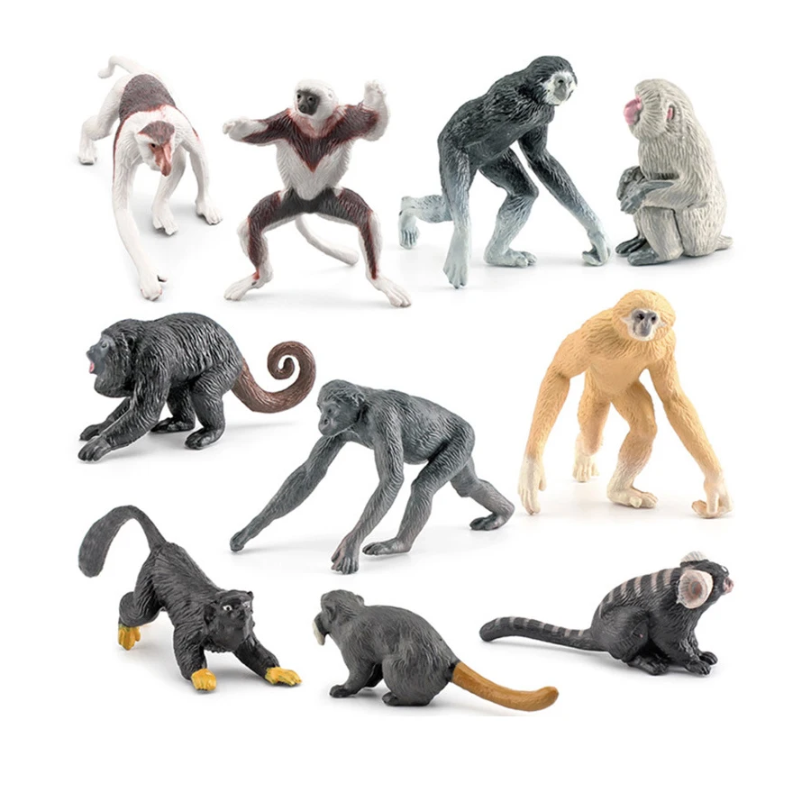 Realistic Primates Animals Monkeys,Gibbon,Bonobo,Macaque,Marmoset Figurines Educational Teaching Tool Toys Gift for Kids 10pcs