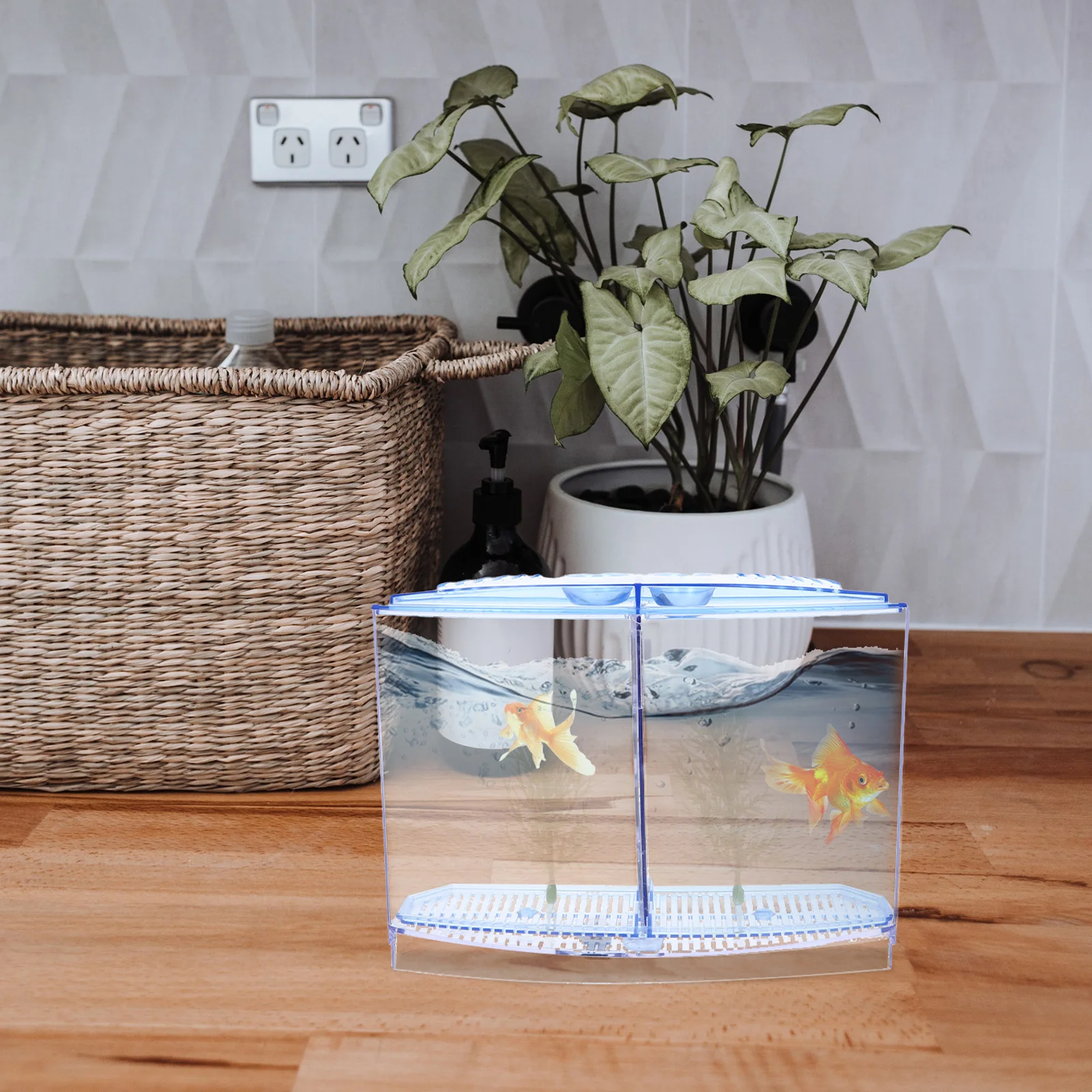 

Mini Plastic Fish Tank Breeding Box Transparent Desktop Aquarium Small Fish Tank Living Room Decor Aquarium Decor