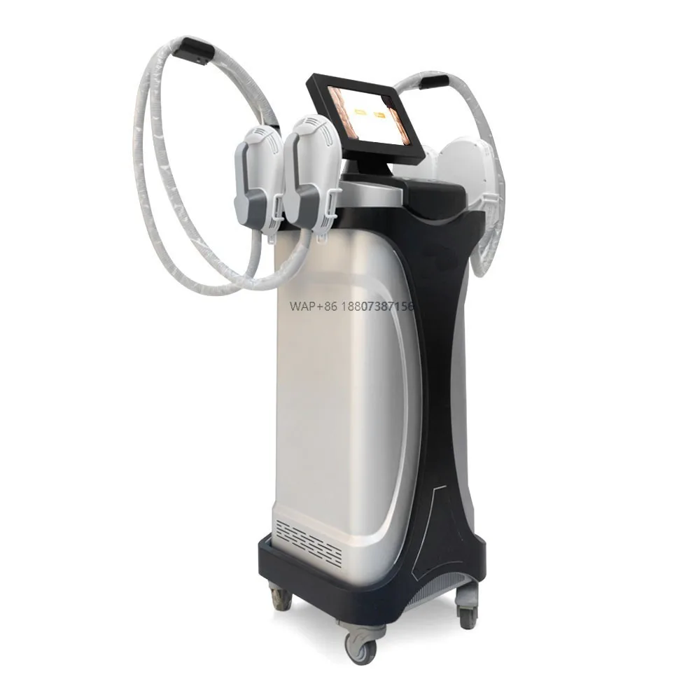 Full Body Vibration Machine for Weight Loss & Fat Burning Standing Type Commercial Use Stainless Steel UK/US Plug Compatible