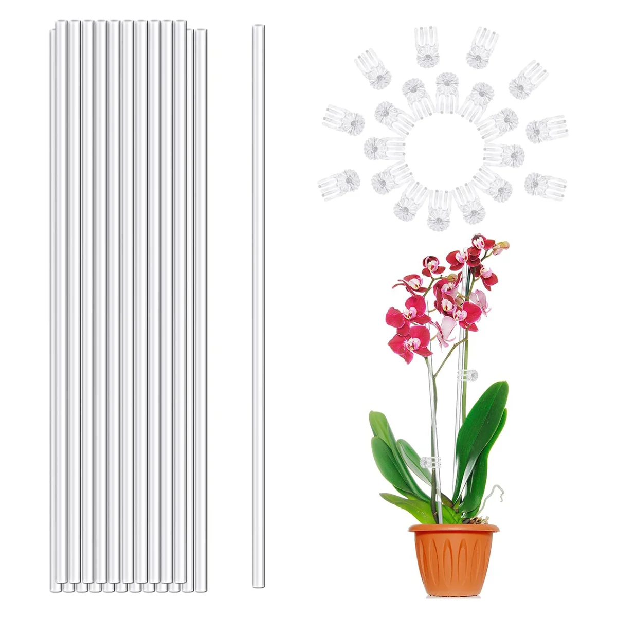 A11I Plant Stakes,พืช Sticks 20PCS อะคริลิคใสสนับสนุน Stakes, 16 นิ้ว Garden SINGLE Stem Stakes สําหรับในร่ม
