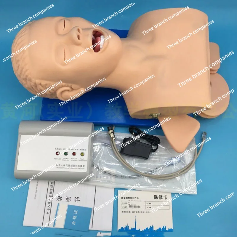 Tube insertion model learning teaching model management training device with toothed PVC simulator