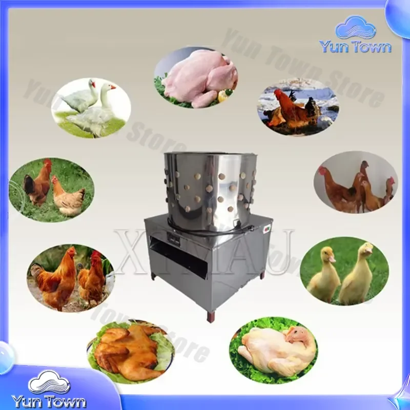 Best Selling Chicken Plucking Machine for Deplumeuse De Poulet Slaughtering Equipment Quail Plucker