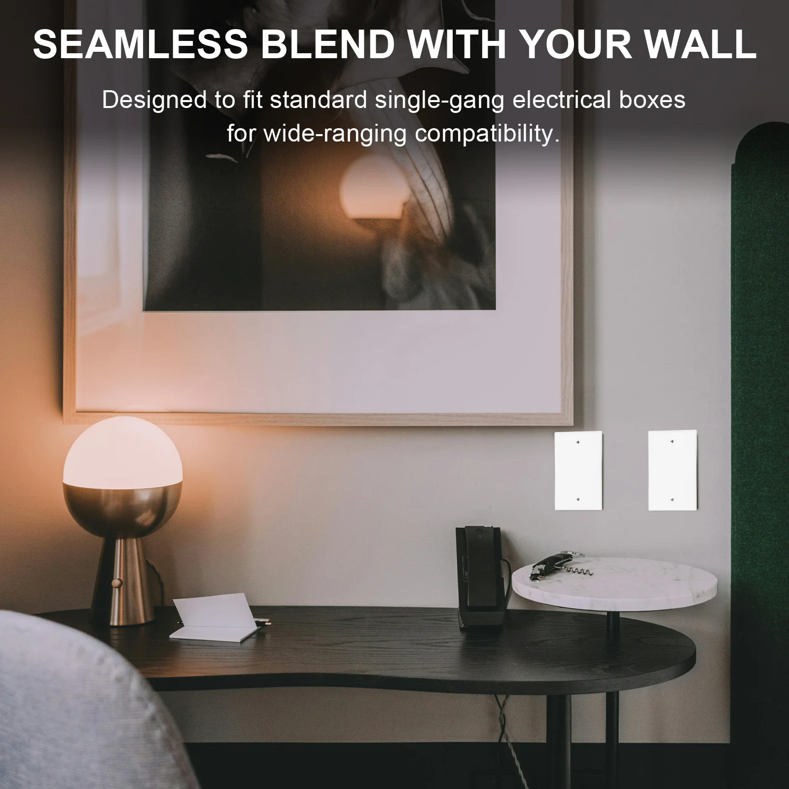 

Крышка пластины Прочный пластик Небьющаяся гладкая белая отделка для стандартной розетки с одним схватом Электрическая безопасность