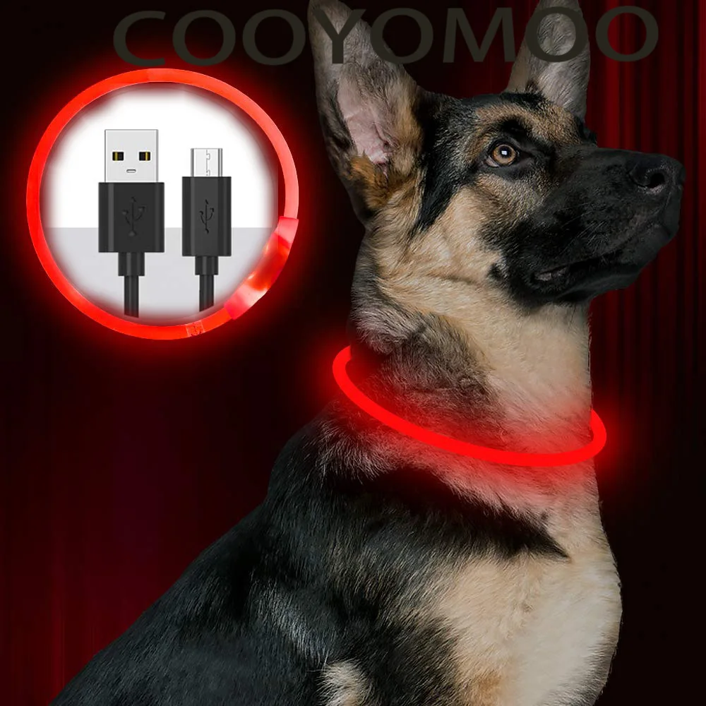 Collier rechargeable avec lumière LED en silicone