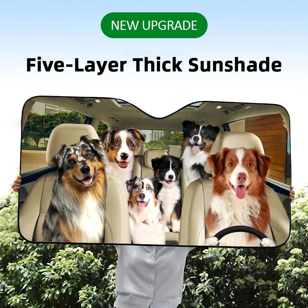 A five-layer thick car windshield sunshade with a funny graphic print of an entire pack of Australian Shepherd dogs on a road trip.