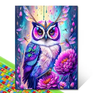DIY 5D Diamante Pintura Pink Owl Full Redonde Diamond Bordado de dibujos animados Cross Puntitch Set Arte Decoración del hogar 10 mejores kit de diamantes de pintura de ventas - №9
