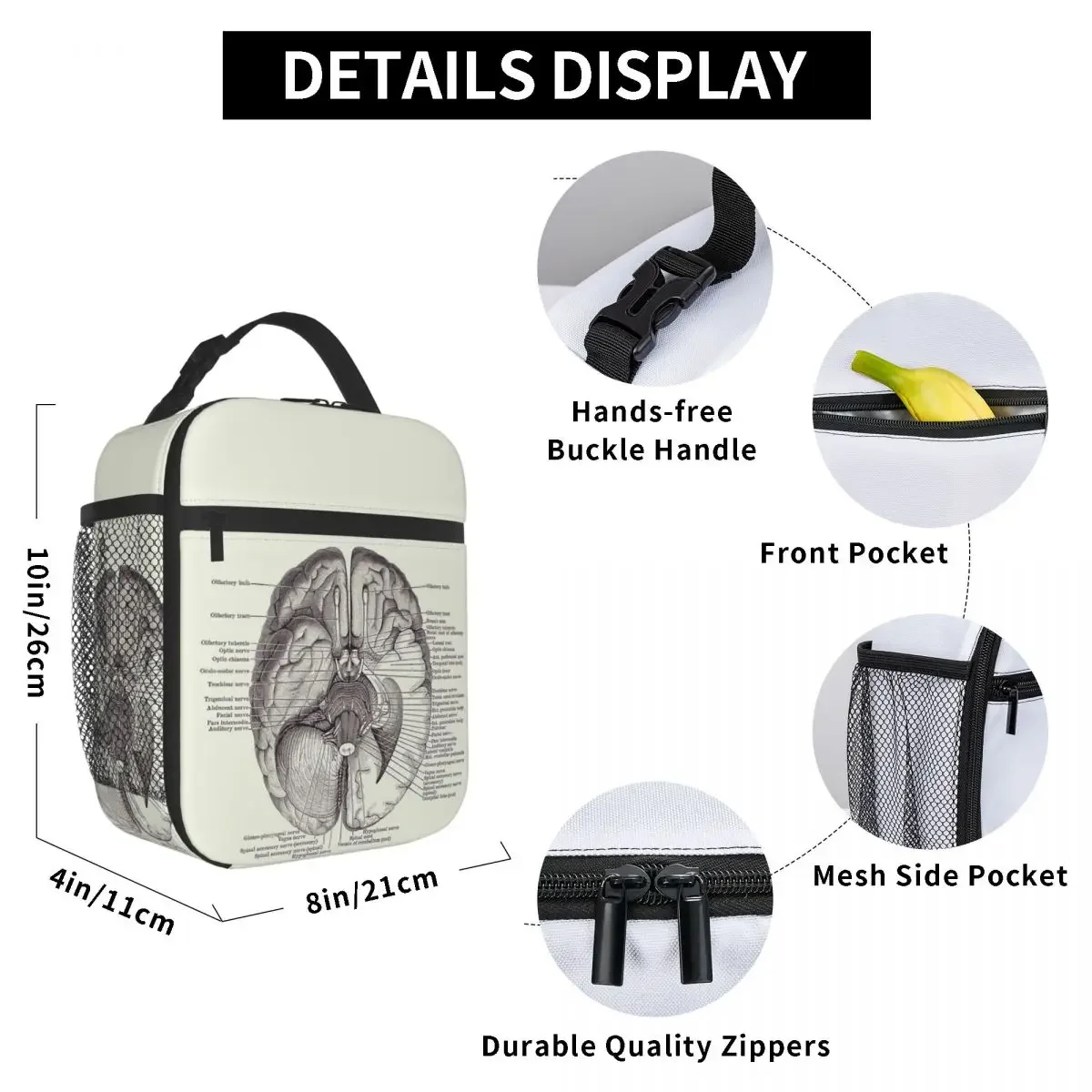 Brain Nervous System Diagram - Vintage Anatomy Insulated Lunch Bag for Women Office Cooler Thermal Food Box Tote Lunch Boxes