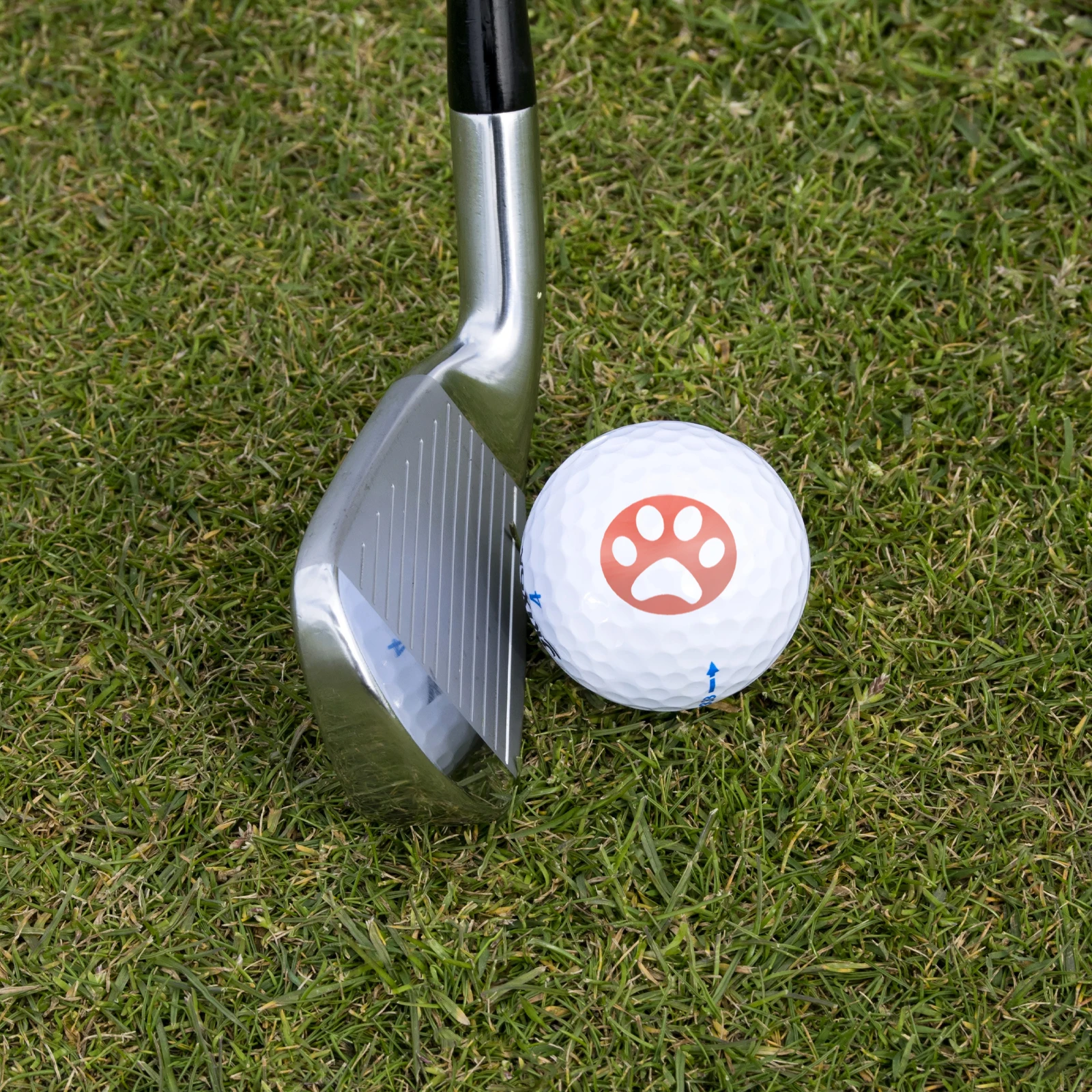 

Creative Golf Ball Stamper Tool Reusable Multi-Functional Durable Quick-Dry Bright Personalized Stamp For Golf Learners Training